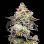 Acai Grapes | Cookies Seeds - Only Seeds