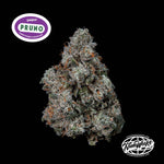 Pruno | Nine Weeks Harvest - Only Seeds