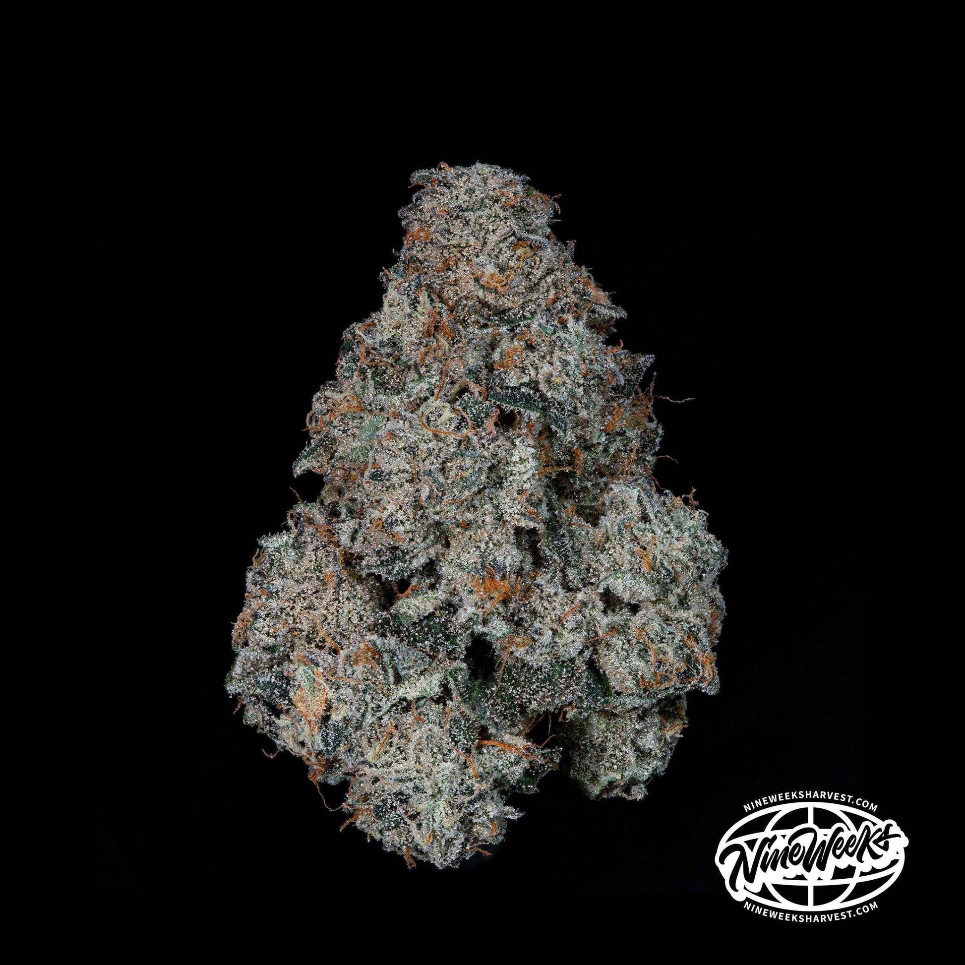 Grape Pak | Nine Weeks Harvest