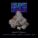 Big Ben | Wizard Trees - Only Seeds