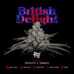 British Delight | Wizard Trees - Only Seeds