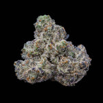 Bogota | Lemonnade - Only Seeds