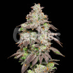 Fried Banana | Cookies Seeds - Only Seeds
