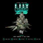 L.I.I.T | Wizard Trees - Only Seeds