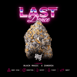 Last Dance | Wizard Trees - Only Seeds