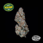 Ice Pop | Nine Weeks Harvest - Only Seeds
