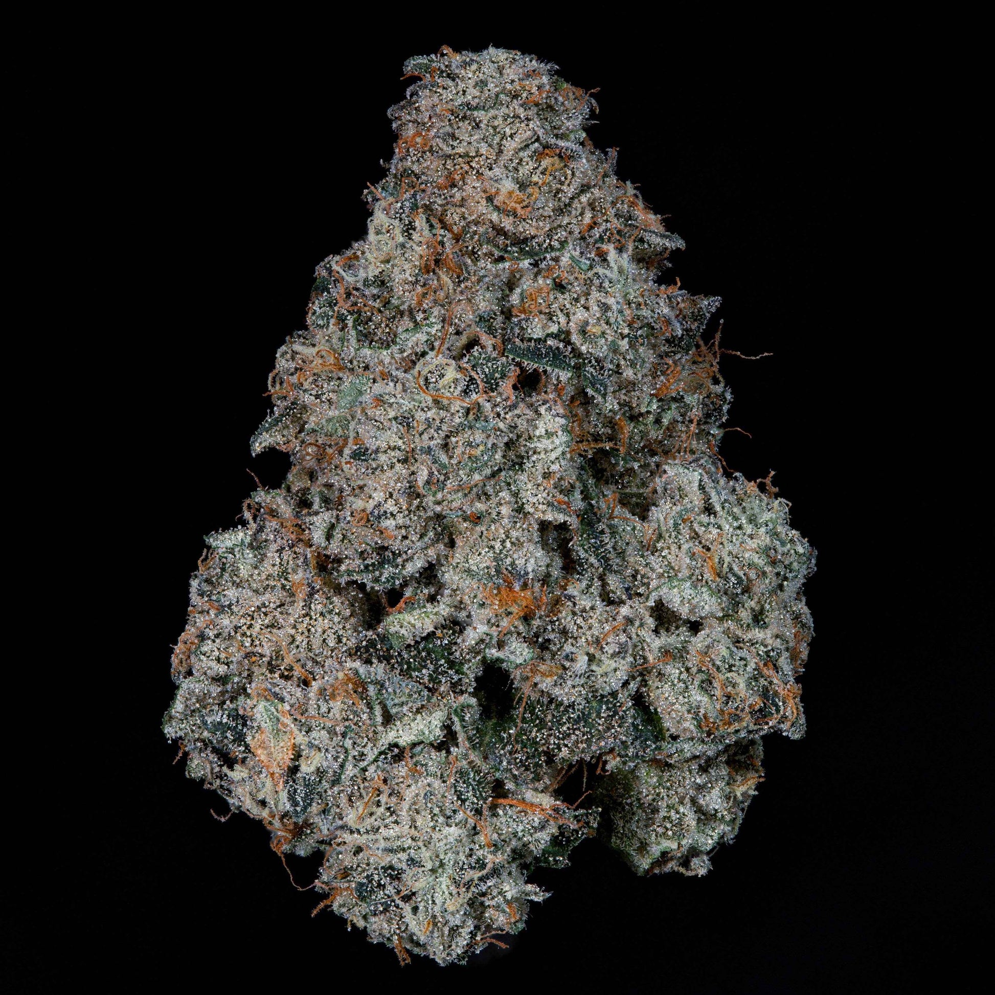 Grape Pak | Nine Weeks Harvest