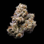 Orange Cake | Lemonnade - Only Seeds