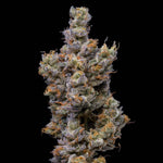 Peach Tea | Lemonnade - Only Seeds
