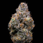 Tiger Paw | Lemonnade - Only Seeds