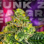 Zangria Funk | Wizard Trees - Only Seeds