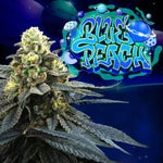 Blue Peach | Perfect Tree - Only Seeds