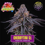 Cherry Tini S1 | Perfect Tree - Only Seeds
