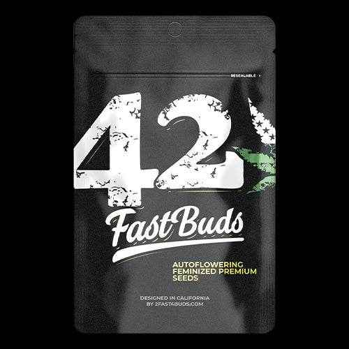 strawberry gorilla auto seeds Strawberry Gorilla Auto | Fast Buds – Cannabis Samen kaufen