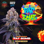 Fat Bomb | Perfect Tree - Only Seeds