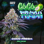 Coco Fresh | Perfect Tree - Only Seeds