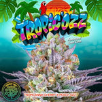 Tropic'ozz | Perfect Tree - Only Seeds