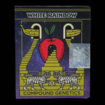 White Rainbow - Only Seeds