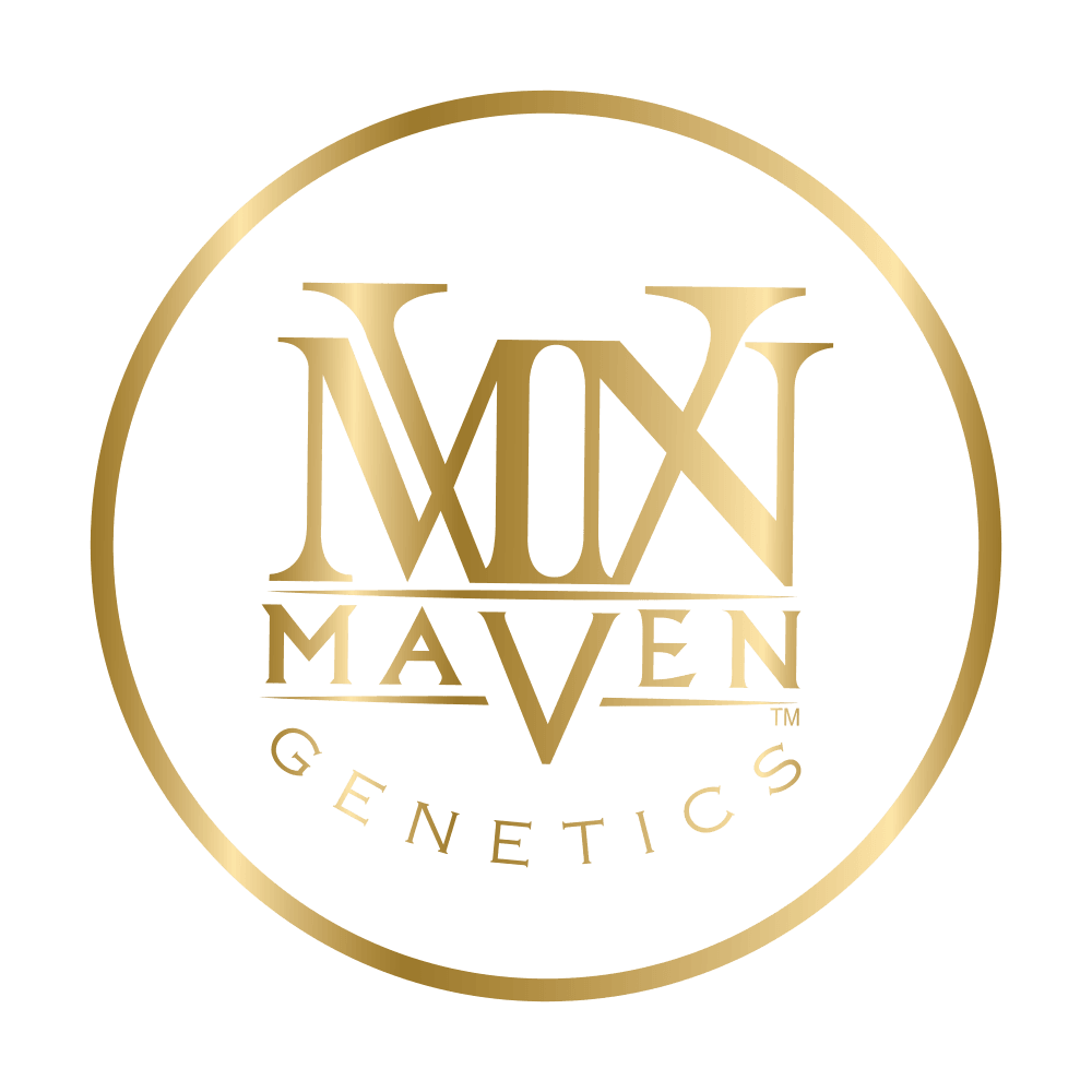 Maven Genetics – California Connoisseur Cannabis - Only Seeds