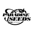 Paradise Seeds – Premium Cannabis-Samen aus Amsterdam - Only Seeds Europe