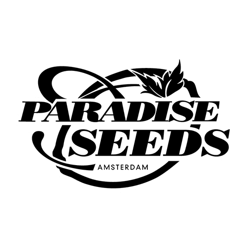 Paradise Seeds – Premium Cannabis-Samen aus Amsterdam - Only Seeds
