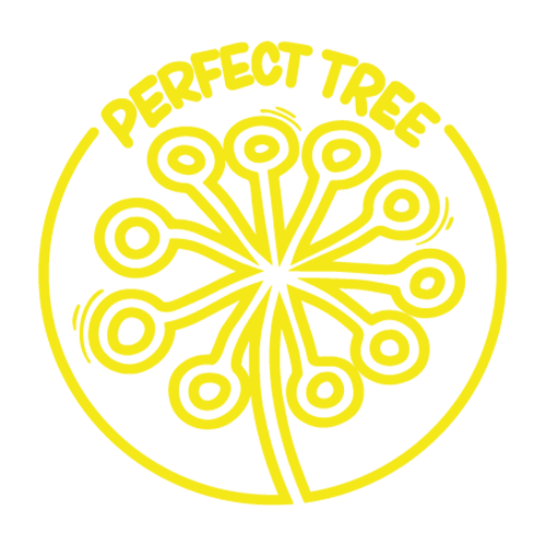 Perfect Tree - Seeds kaufen - Only Seeds