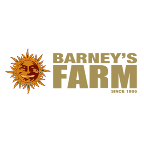Barney's Farm – Premium Cannabis-Samen kaufen - Only Seeds