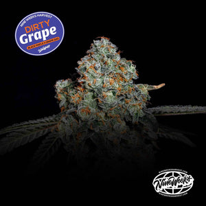 Dirty Grape | Nine Weeks Harvest