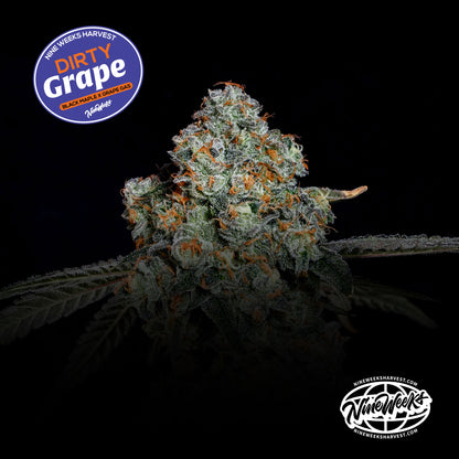 Dirty Grape