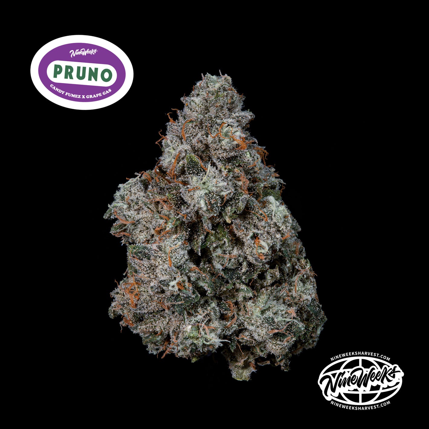 Pruno