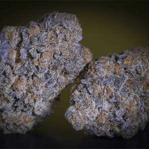 Purple Mints | Paradise Seeds