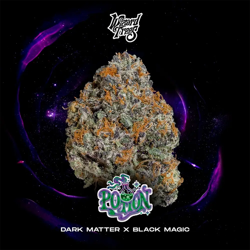Potion | Wizard Trees