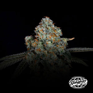 Dirty Grape