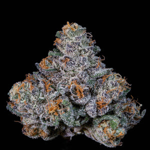 Big Ben | Wizard Trees