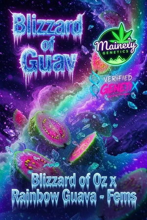 Blizzard of Guav | Mainely Genetics