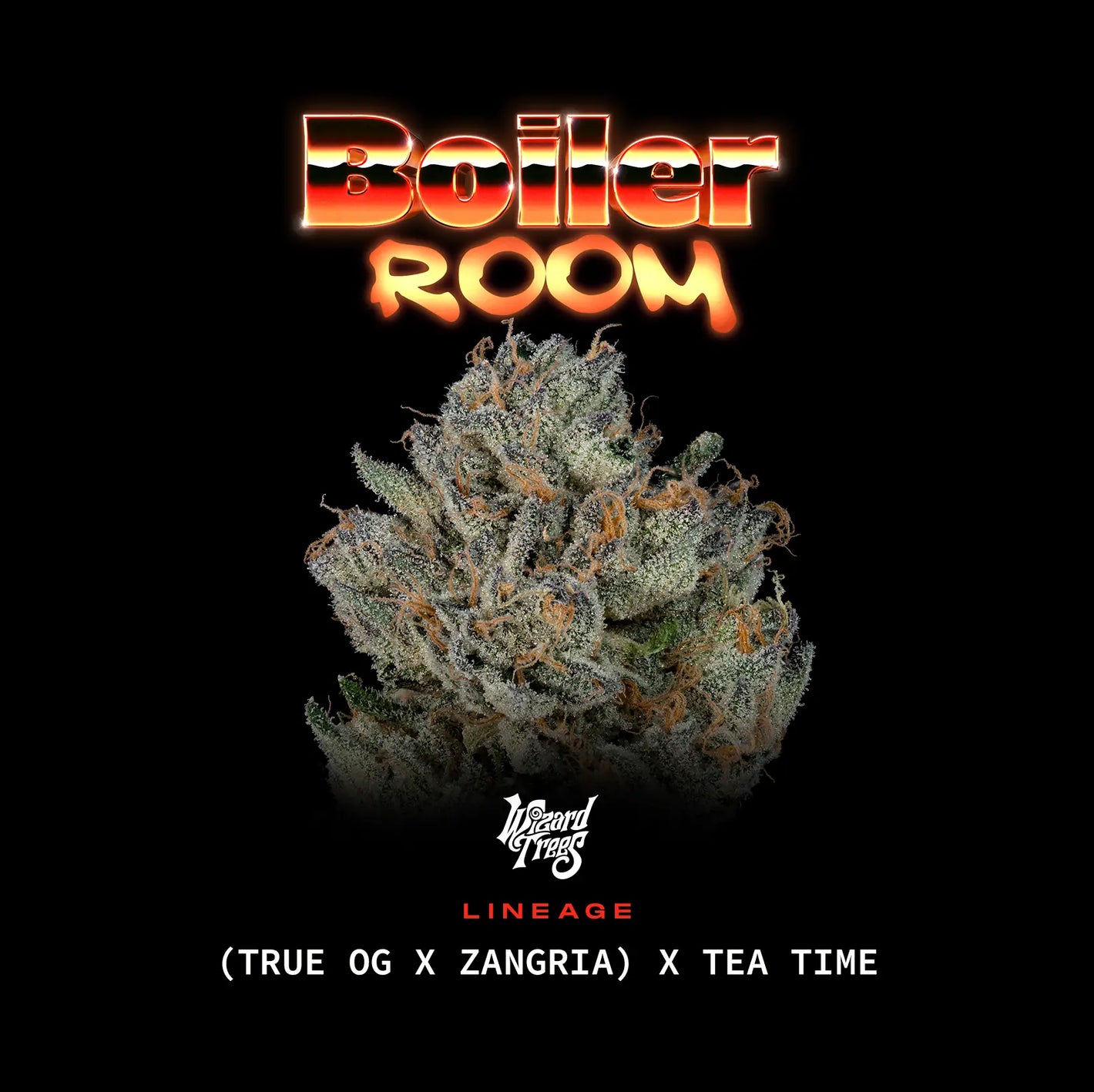 Boiler Room | Wizard Trees