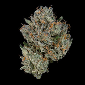 Boiler Room | Wizard Trees