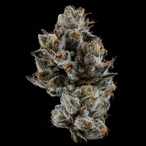 Cali Tings | Wizard Trees