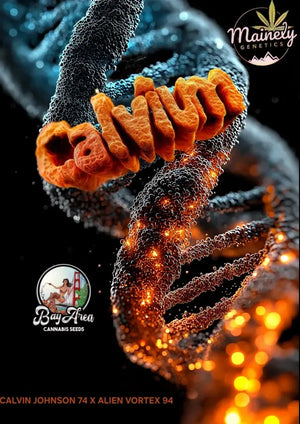 Calvium | Mainely Genetics