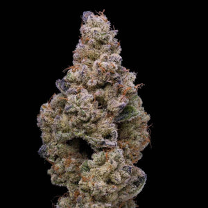 Crispy Sugar | Lemonnade