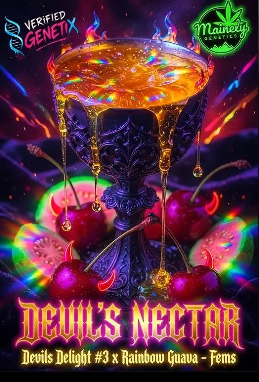 Devil's Nectar | Mainely Genetics
