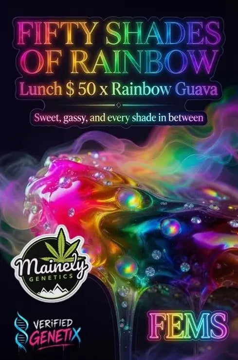 Fifty Shades of Rainbow | Mainely Genetics