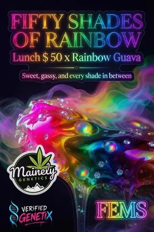 Fifty Shades of Rainbow | Mainely Genetics