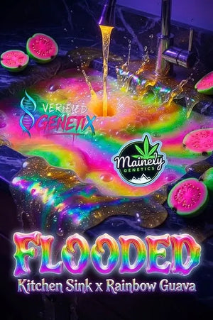 Flooded | Mainely Genetics