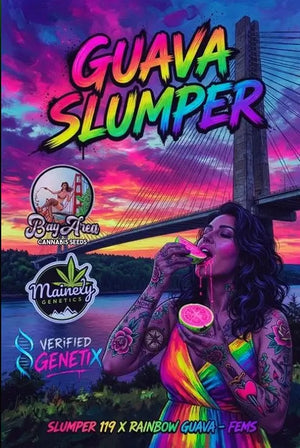Guava Slumper | Mainely Genetics
