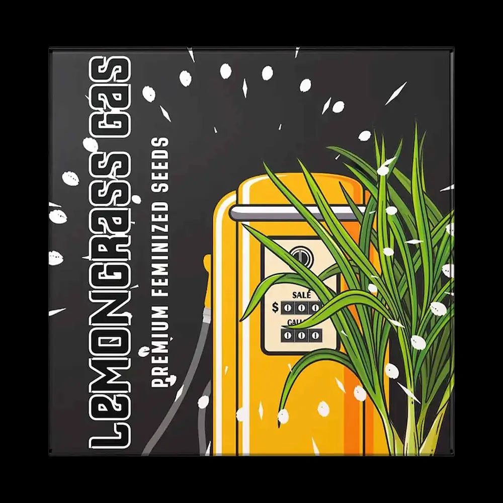 Lemongrass Gas | Doja