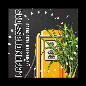 Lemongrass Gas | Doja