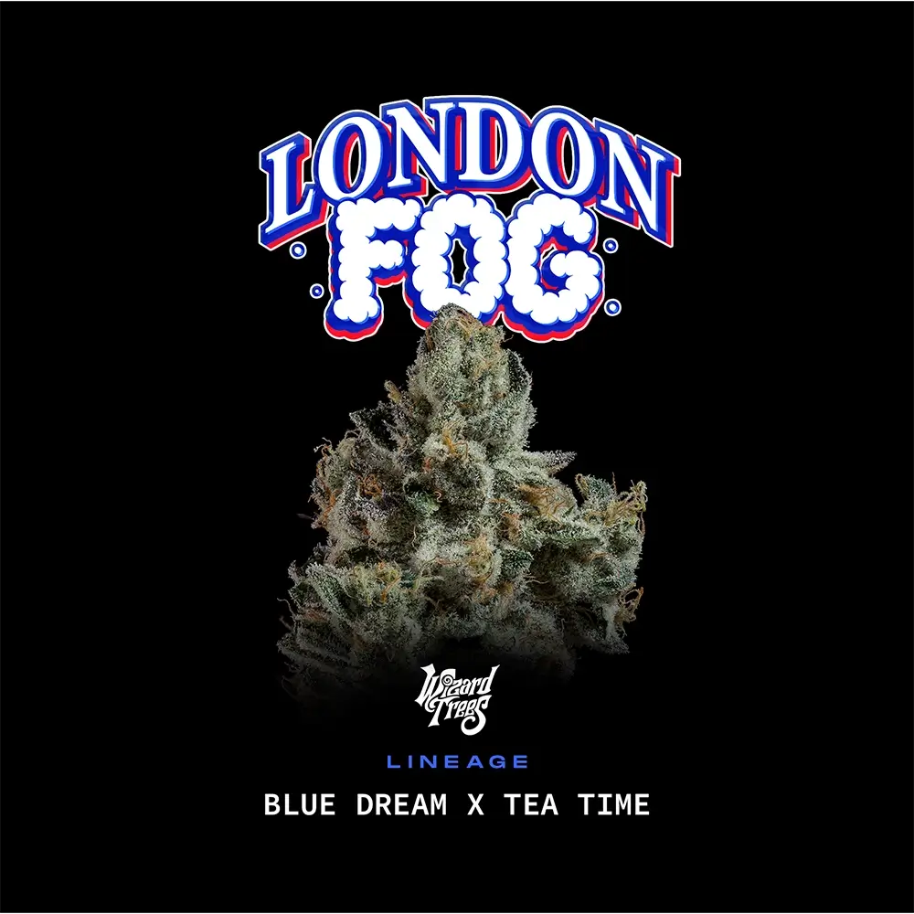 London Fog | Wizard Trees
