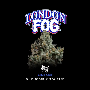 London Fog | Wizard Trees