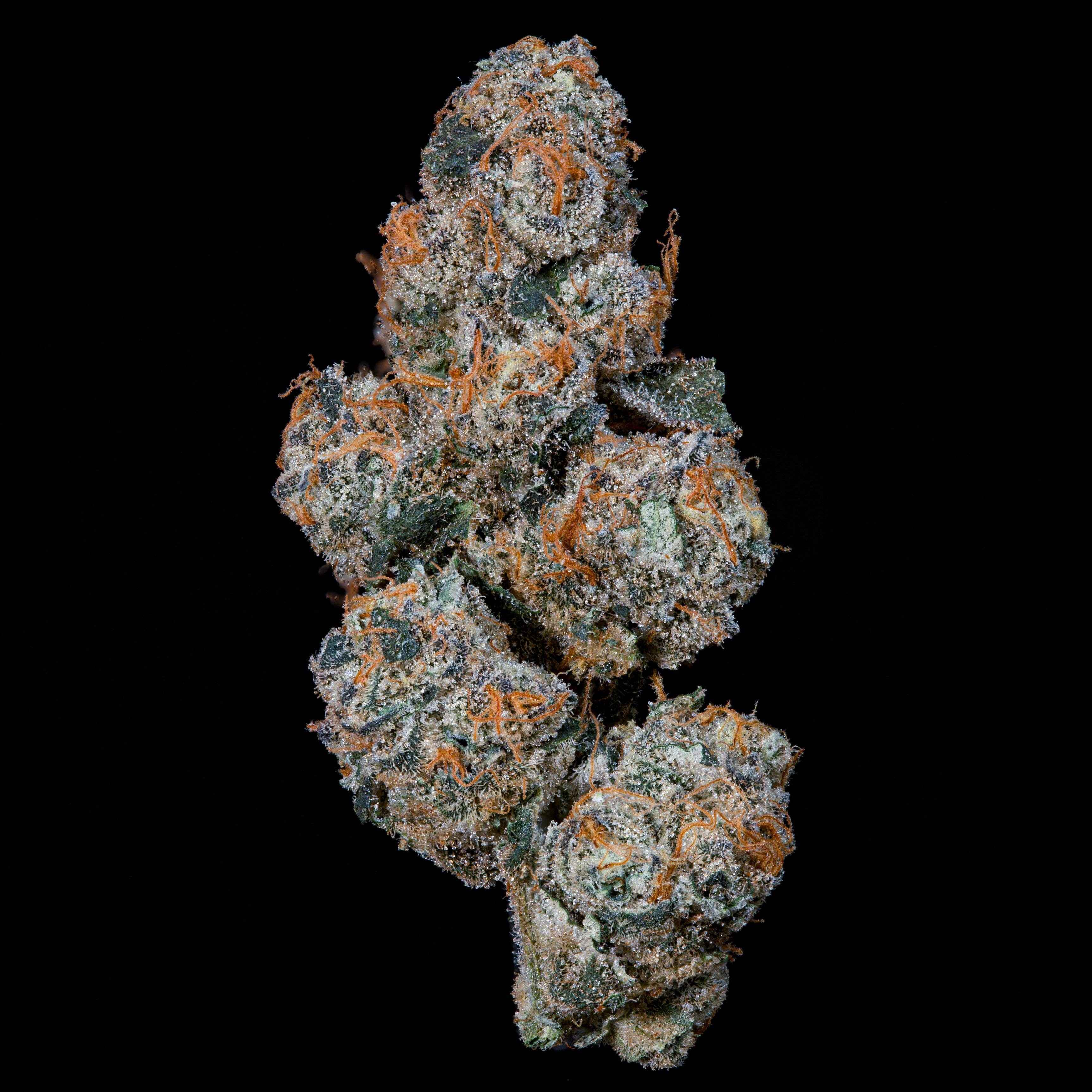 Grape Squeeze | Nine Weeks Harvest – Cannabis Samen kaufen | Only